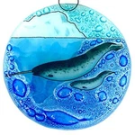 Narwhal Mama + Baby Christmas Tree Ornament - Art Glass Light Catcher. Fixed Price $14.99.