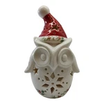 Pfaltzgraff Winterberry Porcelain Christmas Led Lighted Owl Decor. Fixed Price $22.38.