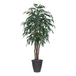 Vickerman 6' Artificial Mango Executive Tree. Gray Round Plastic Container.. Fixed Price $181.99.