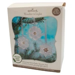 Hallmark Ornament: 2010 Glowing Snowflake Starter Set QXG3626 Non-mint Box. Fixed Price $28.00.