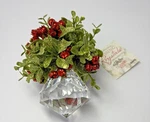 Ganz Kissing Krystal 5" Acrylic Mistletoe Jewel Christmas Ornament. Fixed Price $11.99.