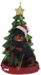 Kurt Adler Rottweiler With Santa Hat Christmas Tree Ornament, 4.25 ". Fixed Price $14.35.