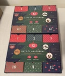 Red Heart Advent Calendar Two Kits 6 Made To Make New Sealed Christmas Crafts. Fixed Price $24.64.