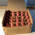 Vintage Holiday Ceramic Replacement Bulbs - 120 9 1/4 Rare Pink Opaque. Fixed Price $30.00.