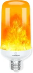 Hudson Led Halloween Lights Flame Effect Bulb & 4-MODE Upside Down Animation. Fixed Price $24.85.