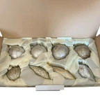 Frontgate Holiday Collection Lot Of 8 Large Christmas Ornaments Original Box. Fixed Price $74.99.