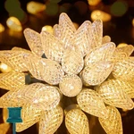 Brightown 50 Warm White Faceted C9 Led Christmas Lights Super Brand New. Fixed Price $19.90.