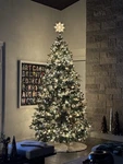 Balsam Hill 10 Noble Fir Flip Tree 2016 White Incandescent Lights W/remote. Fixed Price $499.00.