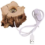 Tree Stump Led Light Base Usb Charging Crystal Ball Display Stand For Home Of.... Fixed Price $35.70.