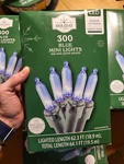 Holiday Time 300 Blue Mini Led Christmas Lights Indoor Outdoor Green Wire. Fixed Price $17.61.
