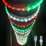 Russell Led Rope Lights Indoor Outdoor Decorative Lighting. Fixed Price $29.99.