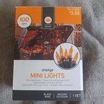 2016 Target Decor 24 Feet Black Wire Indoor/outdoor 100 Count Mini Lights. Fixed Price $12.50.