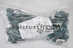 Wintergreen Lighting C9 E17 Base Stringer Amp Spt Wire. Fixed Price $24.99.