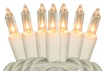 White Wire Christmas Steady Mini String Lighting Holiday 50 Bulb. Fixed Price $16.99.