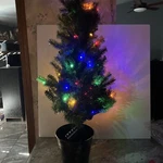 Scott Living 36" Pine Urn Christmas Tree Multicolor Lights. Fixed Price $14.00.