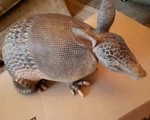 Lifelike Armadillo Garden Statue Sculpture Art Home Yard Patio Decor Ornament. Fixed Price $95.78.