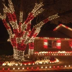 70 Led Christmas String Lights Mini Indoor Outdoor Home Holiday Lighting. Fixed Price $29.99.