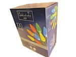 Celebrations Led 100 In/outdoor Multi- Colored Faceted -C6, Light String, New. Fixed Price $29.95.