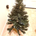 Holiday Time 32" Green Fiber Optic Christmas Tree Color Changing W/ Adapter Box. Fixed Price $46.00.
