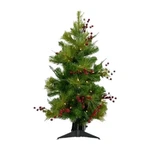 Fraser Hill Farm 3.0' Newberry Pine Tree - Clear Led Lights Battery Box. Fixed Price $74.99.