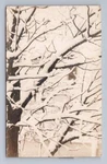 Snow-covered Tree Branches Rppc Antique Sterling Colorado Photo 1910. Fixed Price $12.99.