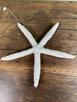 6 Starfish Ornament Resin Beaded Ocean Beach Coastal Nautical Christmas Decor. Fixed Price $11.04.