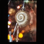Christmas Ornament Kodachrome Slide Vintage Nautilus Shell Holiday Tree. Fixed Price $19.95.
