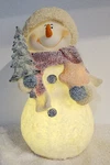 Vp Home Glowing Snowman Led Christmas Light Resin. Fixed Price $24.99.