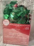 Ashland Green Red Berries Garland Led Battery Operated String Timer White Lights. Fixed Price $9.99.