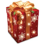 National Tree Company 21 In. Pre-lit Gift Box Decoration New. Fixed Price $169.95.