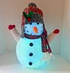 Rite Aid Light Up Snowman Decoration 20" Led Color Changing Christmas Holiday. Fixed Price $30.00.