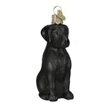 Old World Christmas Black Labrador (12385) Glass Ornament W/ Owc Box. Fixed Price $17.59.