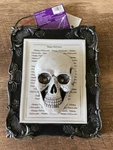 Holiday Home Halloween Battery Operated Led Frame Skull Indoor Decor 6X7. Fixed Price $12.00.