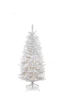 National Tree Company 4.5 Ft Pre-lit Kingswood Christmas. Fixed Price $55.99.
