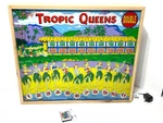 Vintage Bally Tropical Queens Back Glass With Solid Wood Case And Led Lights. Fixed Price $475.00.