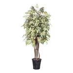 Vickerman 6' Artificial Frosted Maple Executive Tree With Basket In Green. Fixed Price $199.99.