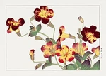 11987.DECOR Poster.room Wall.home Floral Oriental Design Art.japanese Flowers. Fixed Price $21.00.