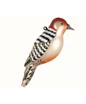 Red Bellied Woodpecker Bird Blown Glass Handcrafted Christmas Ornament Cobane. Fixed Price $21.99.