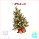 National Tree Company 2 Ft Pre-lit Glittery Bristle Mini Artificial Christmas. Fixed Price $61.16.