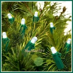 100 Cool White Led Dome String Lights Home Accents Holiday Wedding Christmas New. Fixed Price $14.99.