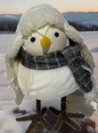 Nwt Target Wondershop Featherly Friends Winter Bird - 2021 Gale. Fixed Price $13.97.