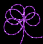 Northlight 288' Purple Led Indoor/outdoor Christmas Rope Lights On Spool. Fixed Price $480.49.