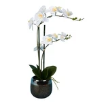Vickerman 23IN Artificial White Phalaenopsis Plant Metal Pot Real Touch Decor. Fixed Price $53.18.