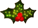 Holiday Time Lighted Holly Indoor/outdoor 22 Christmas Decoration Box (read). Fixed Price $14.31.