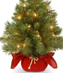 National Tree Co. Pre-lit Artificial Christmas Fir Plug In 2 Ft. Fixed Price $29.99.