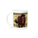 3DROSE, Usa, California. Close Up Of Wild Mustang Horse In Adobe Valley., Mug. Fixed Price $15.97.