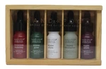 Sand + Fog Diffuser Oil Wooden Box Christmas Morning Pine Sugar Plum Set Of 5. Fixed Price $27.99.