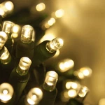 70 Led Christmas String Lights Mini Indoor Outdoor Home Holiday Lighting. Fixed Price $29.99.