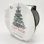 Buzzy Spruce Christmas Tree To Be Mini Basin Grow Planter Diy Kit Your Own. Fixed Price $22.95.