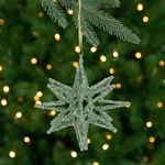 Northlight 6.5-INCH Green 3-D Glittered Star Christmas Ornament. Fixed Price $11.49.